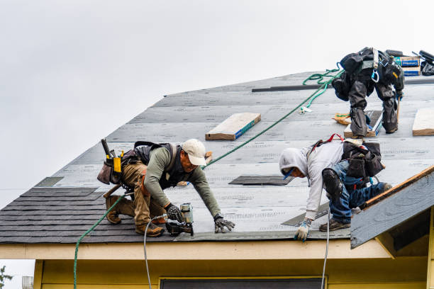 Professional Roof Repair technician working in Hallieford, VA